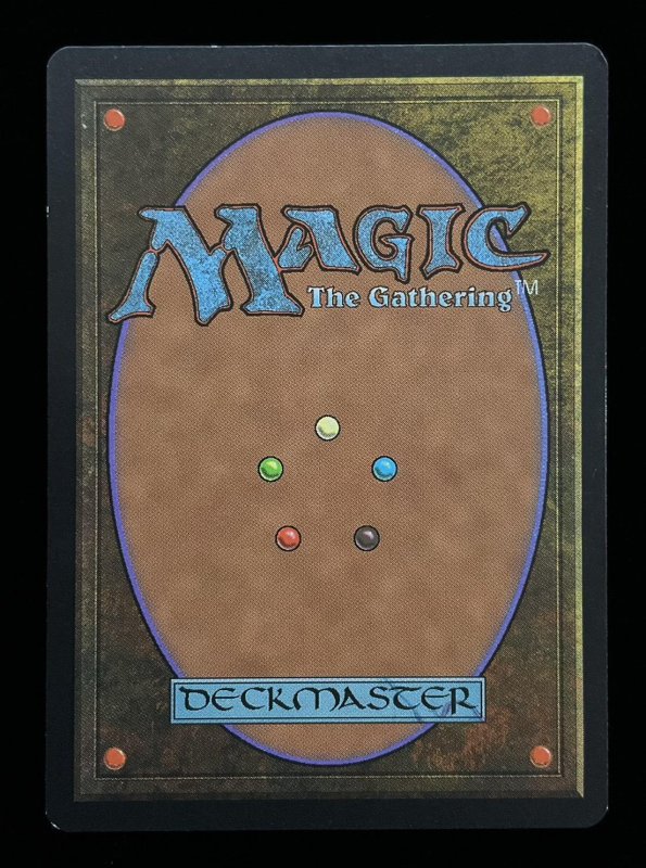 画像3: 適者生存/Survival of the Fittest (3)