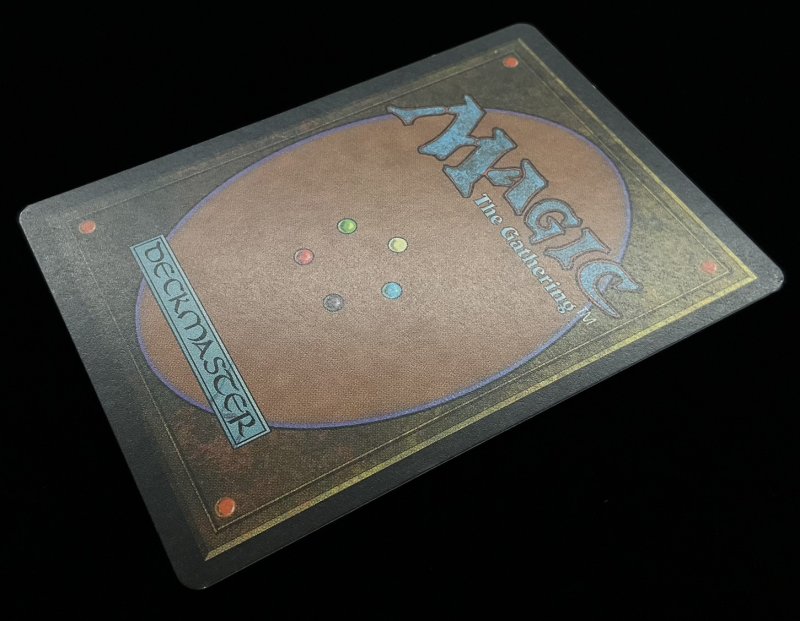 画像4: 適者生存/Survival of the Fittest (4)