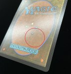 画像5: 【Surge FOIL】【ボーダーレス】煌びやかなる豪奢/Gleaming Splendor (5)
