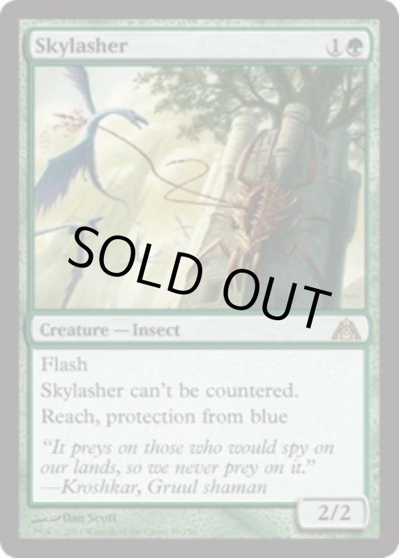 画像2: 空殴り/Skylasher  (2)