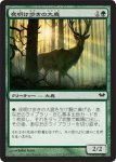 画像1: 夜明け歩きの大鹿/Dawntreader Elk　 (1)