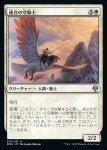 画像1: 連合の空騎士/Coalition Skyknight (1)