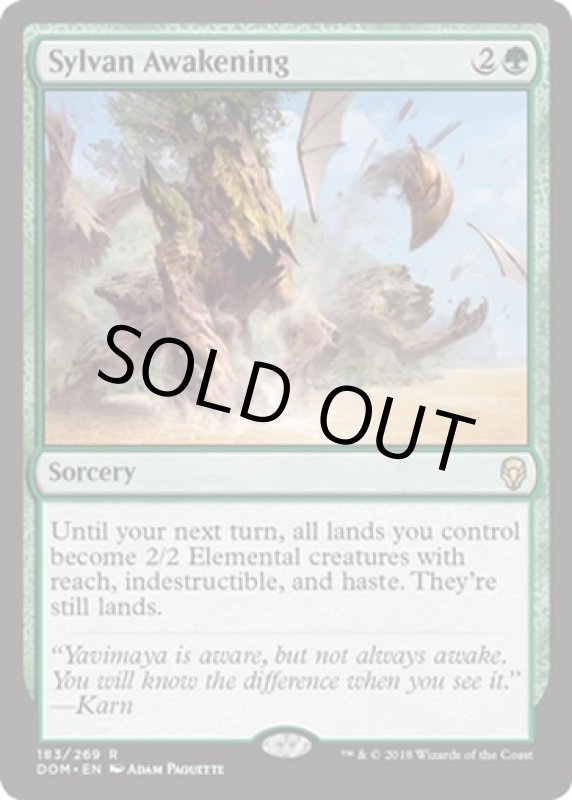 画像2: 森の目覚め/Sylvan Awakening  (2)