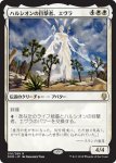 画像1: ハルシオンの目撃者、エヴラ/Evra, Halcyon Witness　 (1)