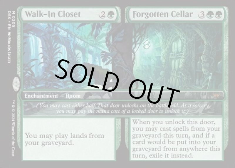 画像2: 収納室+忘れられた地下室/Walk-In Closet+Forgotten Cellar (2)