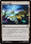 画像1: 進化する未開地/Evolving Wilds (1)