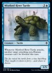 画像2: ミストフォードの亀/Mistford River Turtle　 (2)