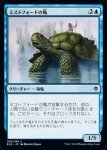 画像1: ミストフォードの亀/Mistford River Turtle　 (1)