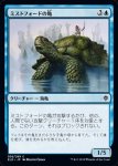 画像1: ミストフォードの亀/Mistford River Turtle　 (1)