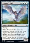画像2: 秘儀術師のフクロウ/Arcanist's Owl　 (2)
