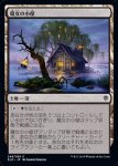 画像1: 魔女の小屋/Witch's Cottage　 (1)