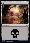 画像1: 沼/Swamp　 (1)