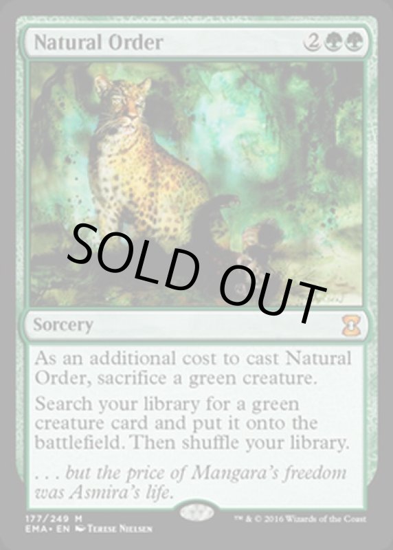 画像2: 自然の秩序/Natural Order  (2)