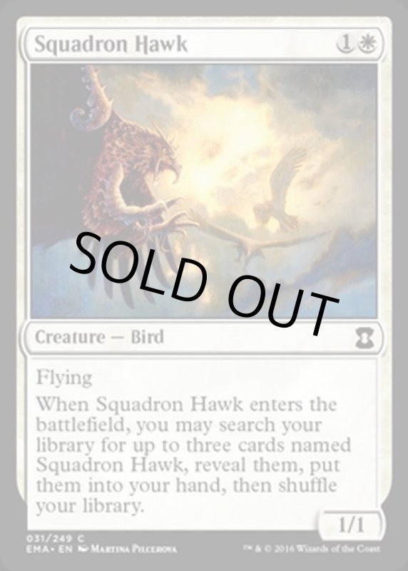 画像2: 戦隊の鷹/Squadron Hawk  (2)