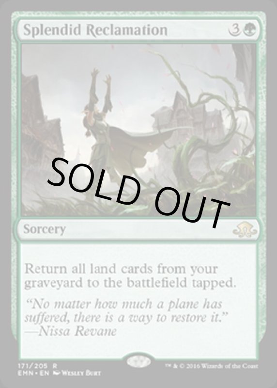 画像2: 見事な再生/Splendid Reclamation  (2)