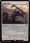 画像1: 反因果の残留/Anticausal Vestige (1)