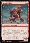 画像1: カヴの新天地探し/Kav Landseeker (1)