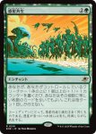 画像1: 惑星共生/Terrasymbiosis (1)