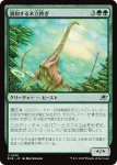 画像1: 調和する木立跨ぎ/Harmonious Grovestrider (1)