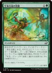 画像1: 生体合成の発露/Biosynthic Burst (1)
