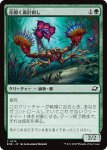 画像1: 花開く毒針刺し/Blooming Stinger (1)