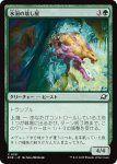 画像1: 氷洞の壊し屋/Icecave Crasher (1)