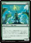画像1: 空刺し/Skystinger (1)