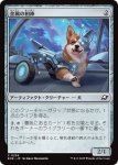 画像1: 金属の相棒/Chrome Companion (1)