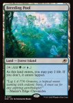画像2: 繁殖池/Breeding Pool (2)