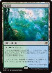 画像1: 繁殖池/Breeding Pool (1)