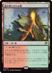 画像1: 踏み鳴らされる地/Stomping Ground (1)