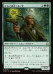 画像1: エルフの大ドルイド/Elvish Archdruid (1)
