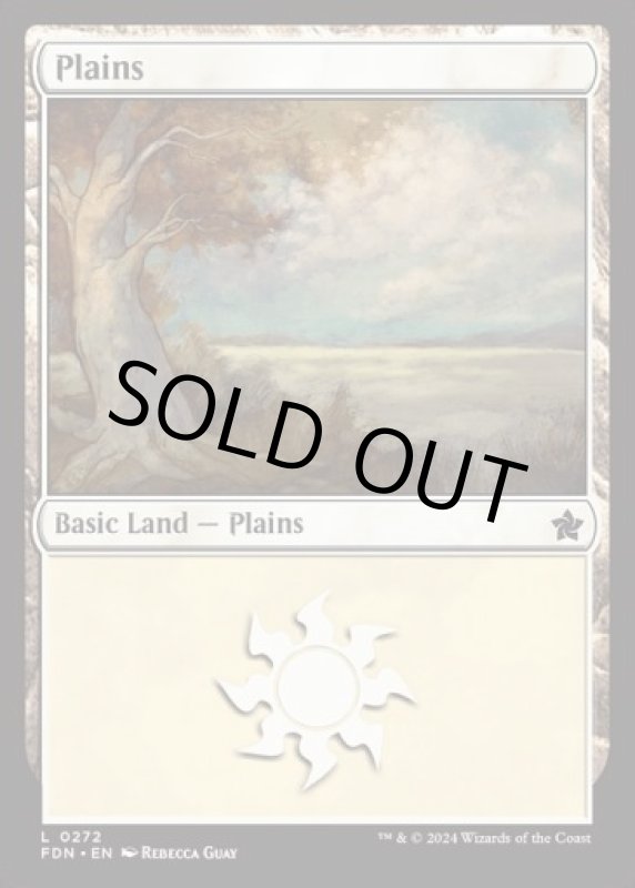 画像2: 平地/Plains (2)