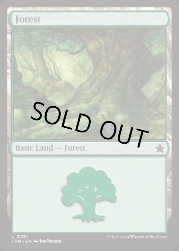 画像2: 森/Forest (2)