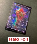 画像5: 【Halo FOIL】【ショーケース】温厚な襞背/Tranquil Frillback (5)
