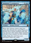 画像2: 歴戦の冷術士/Seasoned Cryomancer (2)