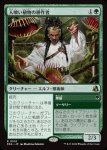 画像1: 人喰い植物の耕作者/Carnivorous Cultivator (1)