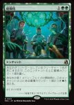 画像1: 庭園化/Gardenize (1)