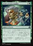 画像1: パラドックスとしての歩み/Way of the Paradox (1)