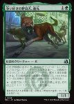 画像1: 争い好きの野良犬、義丸/Yoshimaru, Scrappy Stray (1)