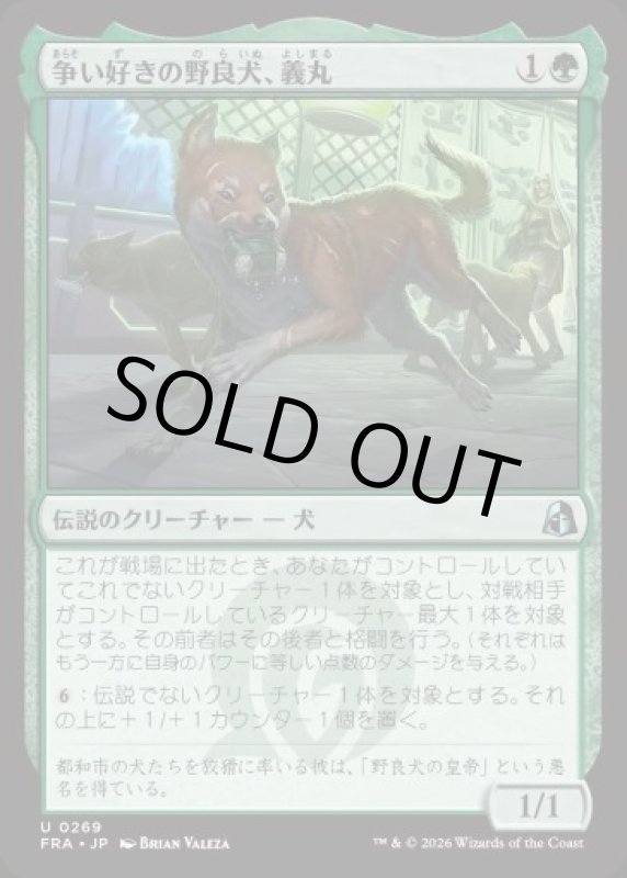 画像1: 争い好きの野良犬、義丸/Yoshimaru, Scrappy Stray (1)