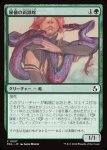 画像1: 秘儀の両頭蛇/Arcane Amphisbaena (1)