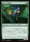 画像1: 芽生えし反乱者/Budding Insurgent (1)