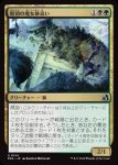画像1: 原初の魔女跡追い/Primal Witchstalker (1)