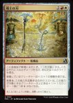 画像1: 戦士の刃/Warrior's Blades (1)