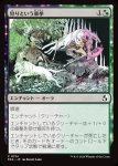 画像1: 狩りという暴挙/Ferocity of the Hunt (1)