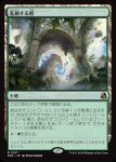 画像1: 乱動する梢/Roiling Canopy (1)