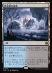 画像1: 難破船の湿地/Shipwreck Marsh (1)