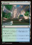 画像1: 変容の広場/Transformative Commons (1)