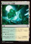 画像1: ヴィゴーブルーム別館/Vigorbloom Annex (1)